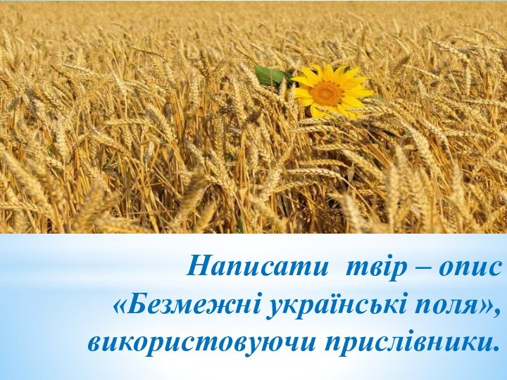 Написати твір – опис «Безмежні українські поля», використовуючи прислівники.