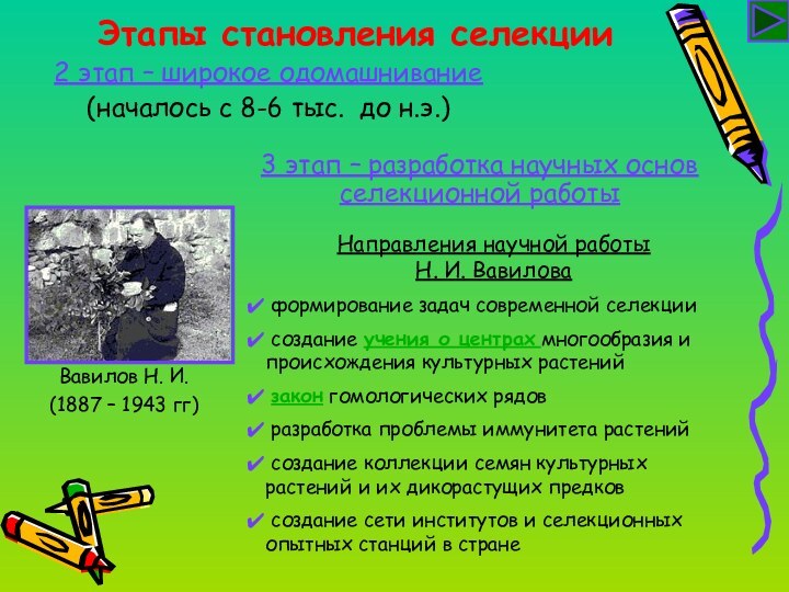 Этапы становления селекции2 этап – широкое одомашнивание(началось с 8-6 тыс. до н.э.)3
