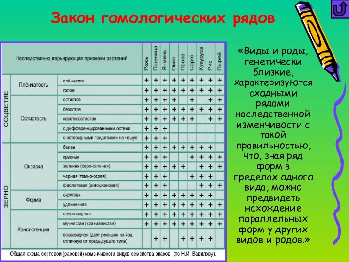 Закон гомологических рядов«Виды и роды, генетически близкие, характеризуются сходными рядами наследственной изменчивости