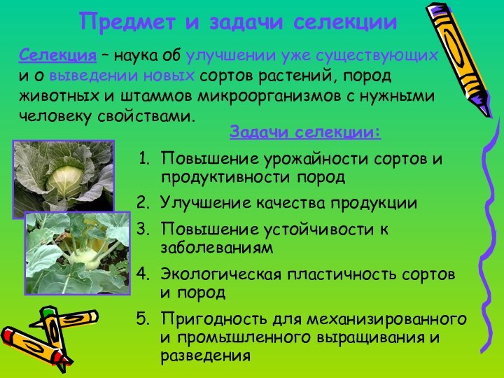Предмет и задачи селекцииСелекция – наука об улучшении уже существующих и о