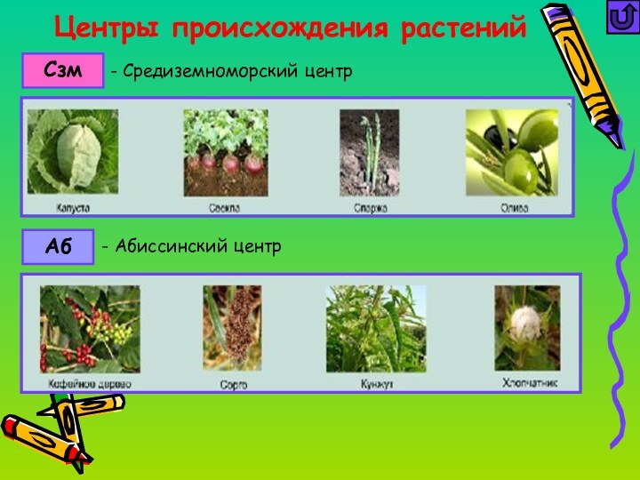 Центры происхождения растенийСзмАб- Абиссинский центр- Средиземноморский центр