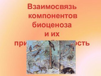 Взаимосвязь компонентов биоценоза и их приспособленность друг к другу