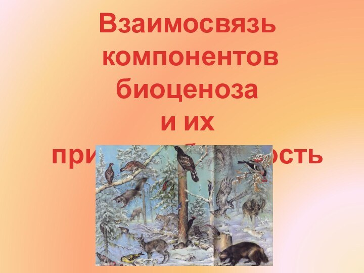 Взаимосвязь компонентов биоценозаи их приспособленность друг к другу.