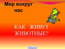 Как живут животные