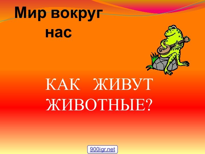 Мир вокруг насКАК  ЖИВУТ ЖИВОТНЫЕ?