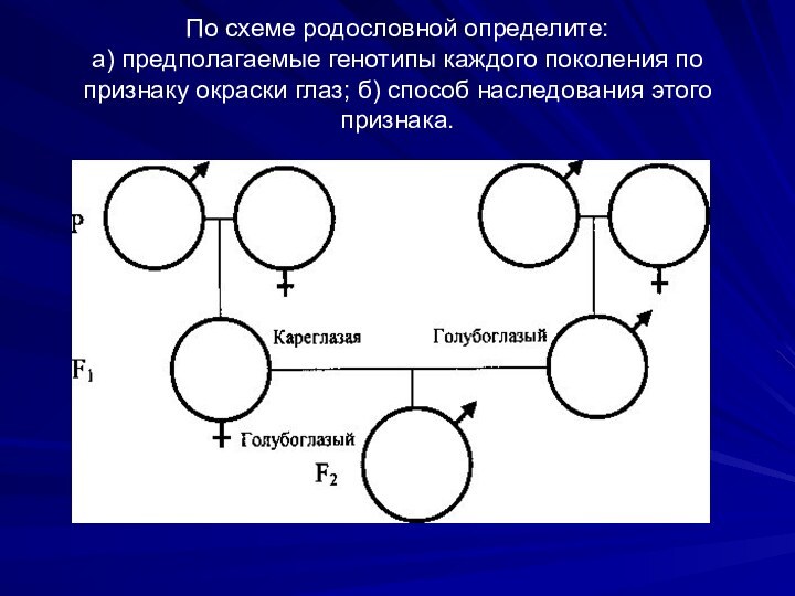 По схеме родословной определите:  а) предполагаемые генотипы каждого поколения по признаку