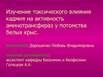 Изучение токсического влияния кадмия на активность аминотрансфераз у потомства белых крыс