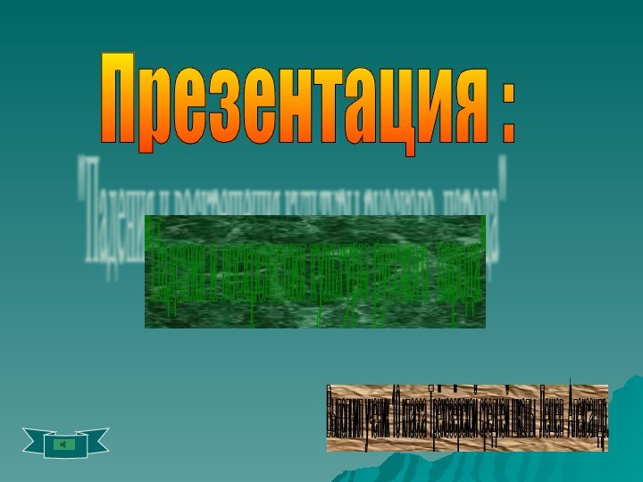 Презентация : Выполнил ученик 10 класса Трёхозёрской средней школы Лешев Александр.