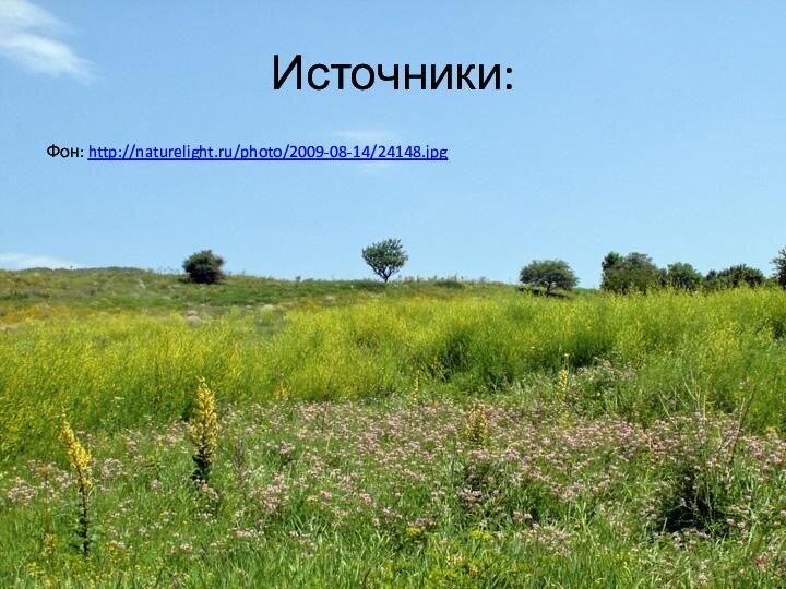 Источники:Фон: http://naturelight.ru/photo/2009-08-14/24148.jpg