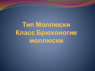 Тип Моллюски. Класс Брюхоногие моллюски