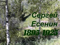 Сергей Есенин 1895-1925