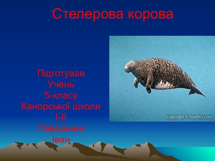 Стелерова корова  Підготував Учень5-класуКанорської школиI-IIПавлишинІван