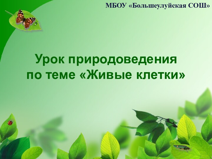 Урок природоведения по теме «Живые клетки»МБОУ «Большеулуйская СОШ»