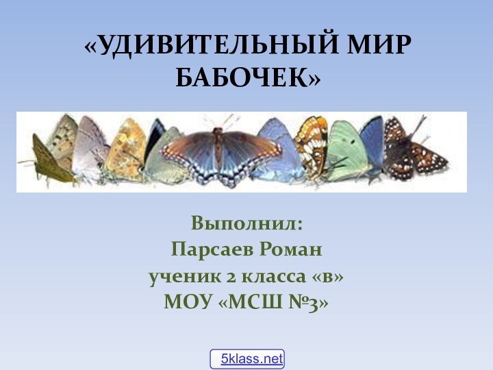 «УДИВИТЕЛЬНЫЙ МИР БАБОЧЕК» Выполнил:Парсаев Романученик 2 класса «в»МОУ «МСШ №3»