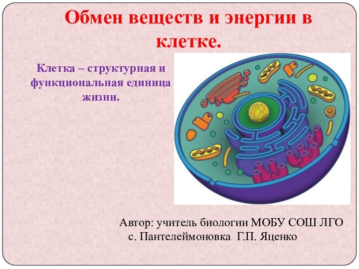 Обмен веществ и энергии в клетке.Автор: учитель биологии МОБУ СОШ ЛГО с.