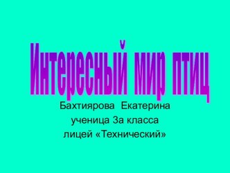 Интересный мир птиц