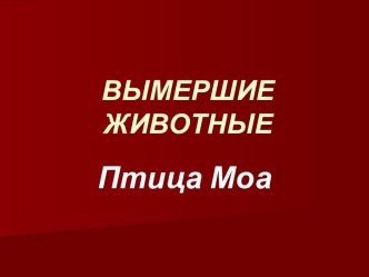 Вымершие животные. Птица Моа.