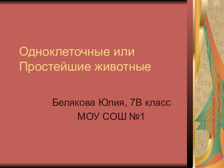 Одноклеточные или Простейшие животныеБелякова Юлия, 7В классМОУ СОШ №1