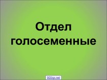 Растения отдела голосеменные