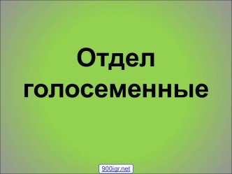 Растения отдела голосеменные