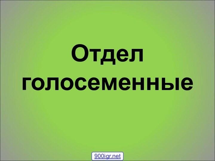 Отдел голосеменные