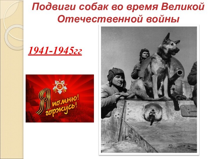 1941-1945ггПодвиги собак во время Великой Отечественной войны