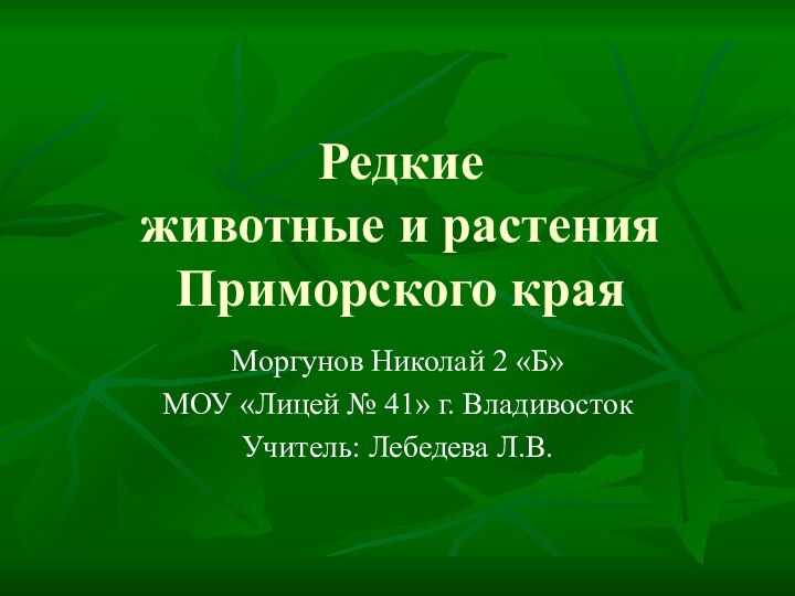 Редкие  животные и растения Приморского краяМоргунов Николай 2 «Б»МОУ «Лицей №