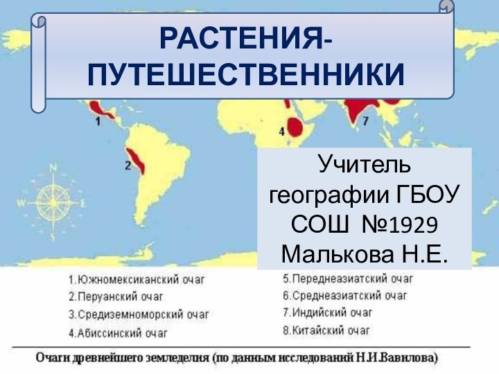 РАСТЕНИЯ-ПУТЕШЕСТВЕННИКИУчитель географии ГБОУ СОШ №1929 Малькова Н.Е.