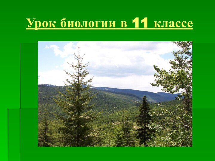 Урок биологии в 11 классе