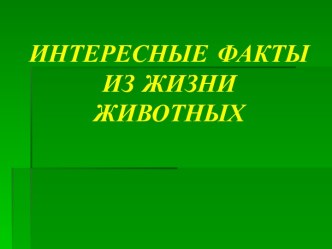 Интересные факты из жизни животных