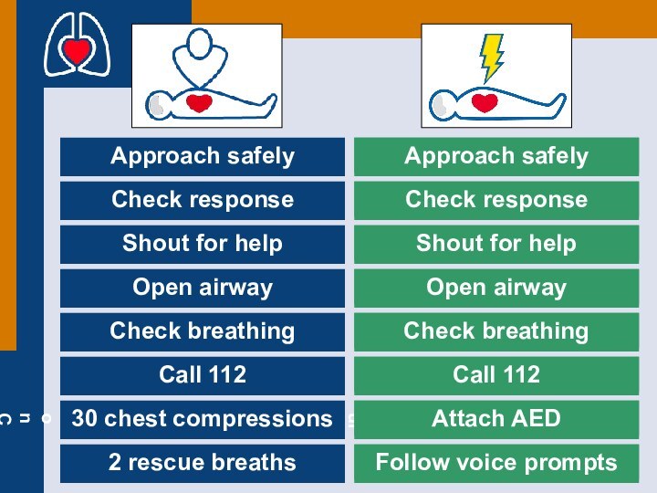 Approach safelyCheck responseShout for helpOpen airwayCheck breathingCall 11230 chest compressions2 rescue breathsApproach
