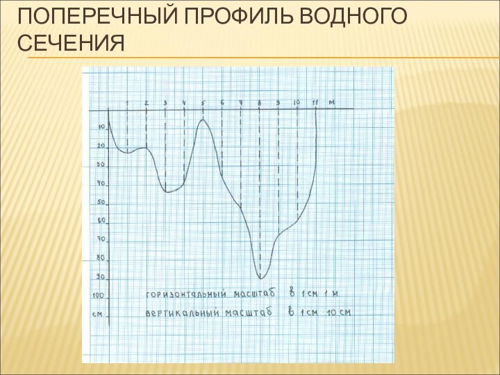 ПОПЕРЕЧНЫЙ ПРОФИЛЬ ВОДНОГО СЕЧЕНИЯ