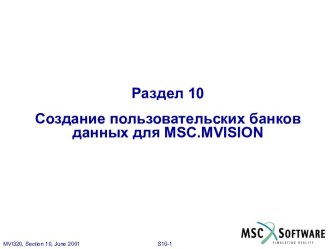 MSC.Mvision - 10-1