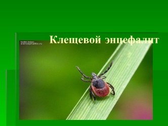 клещевой энцефалит