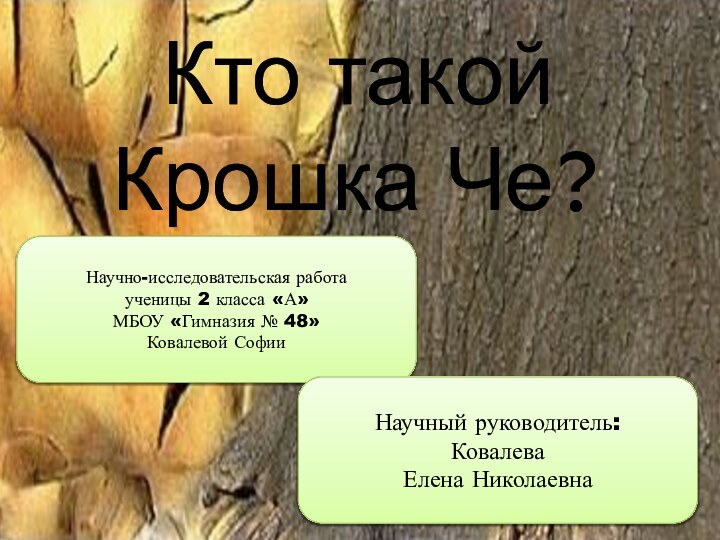 Кто такой Крошка Че?Научно-исследовательская работаученицы 2 класса «А»МБОУ «Гимназия № 48»Ковалевой СофииНаучный руководитель:Ковалева Елена Николаевна