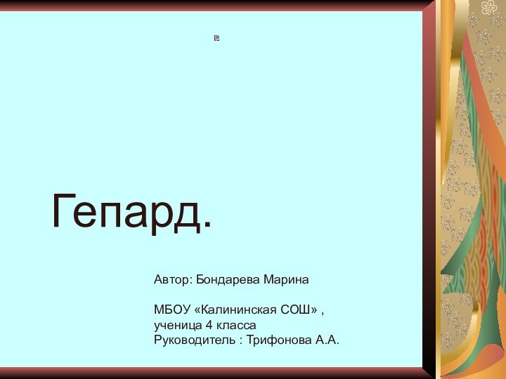 Гепард.Автор: Бондарева МаринаМБОУ «Калининская СОШ» ,ученица 4