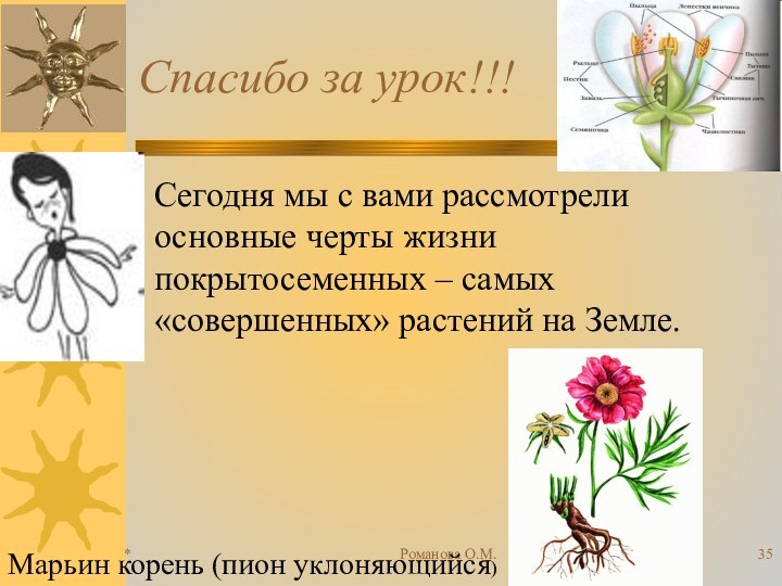 *Романова О.М.Спасибо за урок!!!Сегодня мы с вами рассмотрели основные черты жизни покрытосеменных