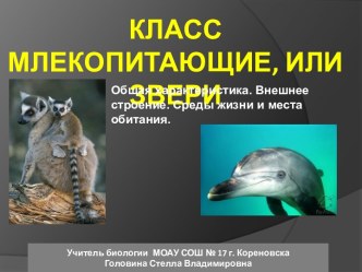 Класс Млекопитающие, или Звери