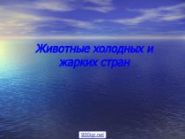 Животные жарких и холодных стран