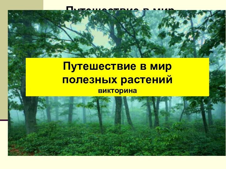 Путешествие в мир полезных растенийвикторинаПутешествие в мир полезных растенийвикторина