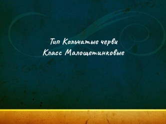 Тип Кольчатые черви 7 класс