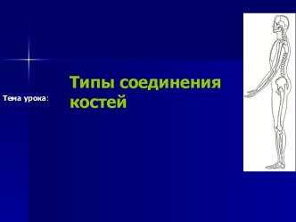 ТИПЫ СОЕДИНЕНИЯ КОСТЕЙ