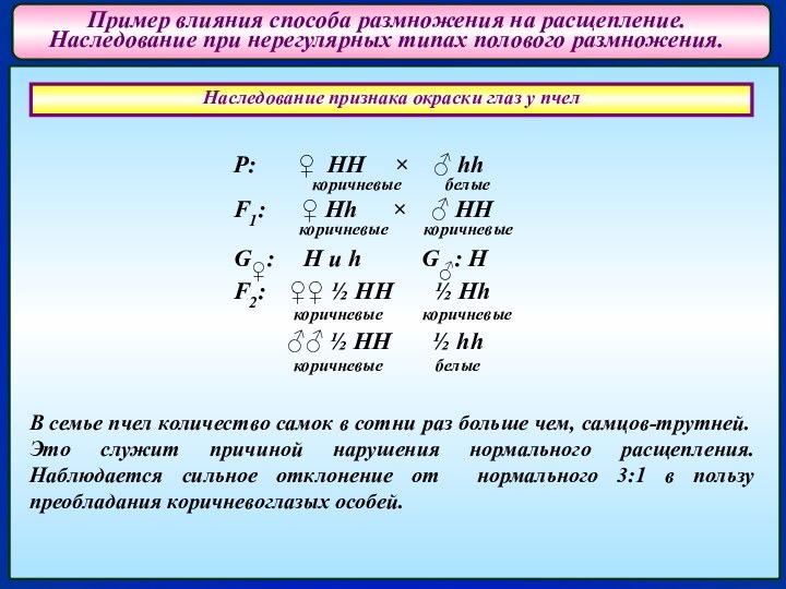 Пример влияния способа размножения на расщепление.  Наследование при нерегулярных типах полового