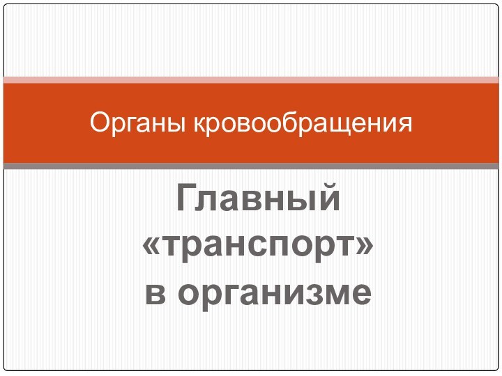 Главный «транспорт» в организмеОрганы кровообращения