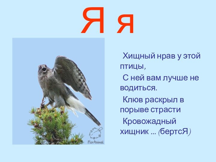 Я я	Хищный нрав у этой птицы,	С ней вам лучше не водиться.	Клюв раскрыл