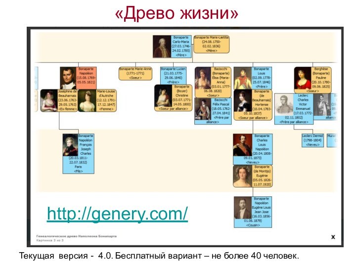 Текущая версия - 4.0. Бесплатный вариант – не более 40 человек. http://genery.com/ «Древо жизни»