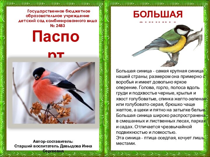 Государственное бюджетное образовательное учреждение детский сад комбинированного