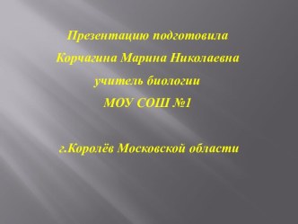 Царство Животны. Тип Моллюски. Классы - Брюхоногие Двустворчатые Головоногие