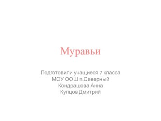 муравьи