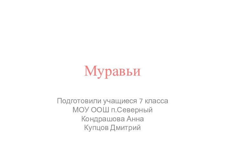 МуравьиПодготовили учащиеся 7 класса МОУ ООШ п.Северный Кондрашова Анна Купцов Дмитрий